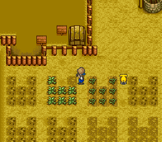 Screenshot Thumbnail / Media File 1 for Harvest Moon (USA)