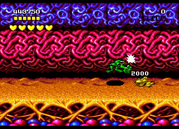 Screenshot Thumbnail / Media File 4 for Battletoads (World)