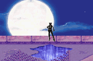 Screenshot Thumbnail / Media File 1 for Catwoman (U)(Hyperion)