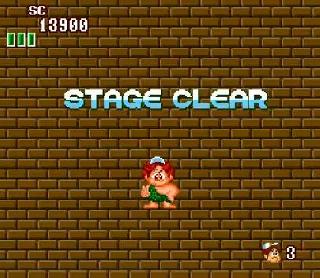 Screenshot Thumbnail / Media File 1 for New Adventure Island (USA)